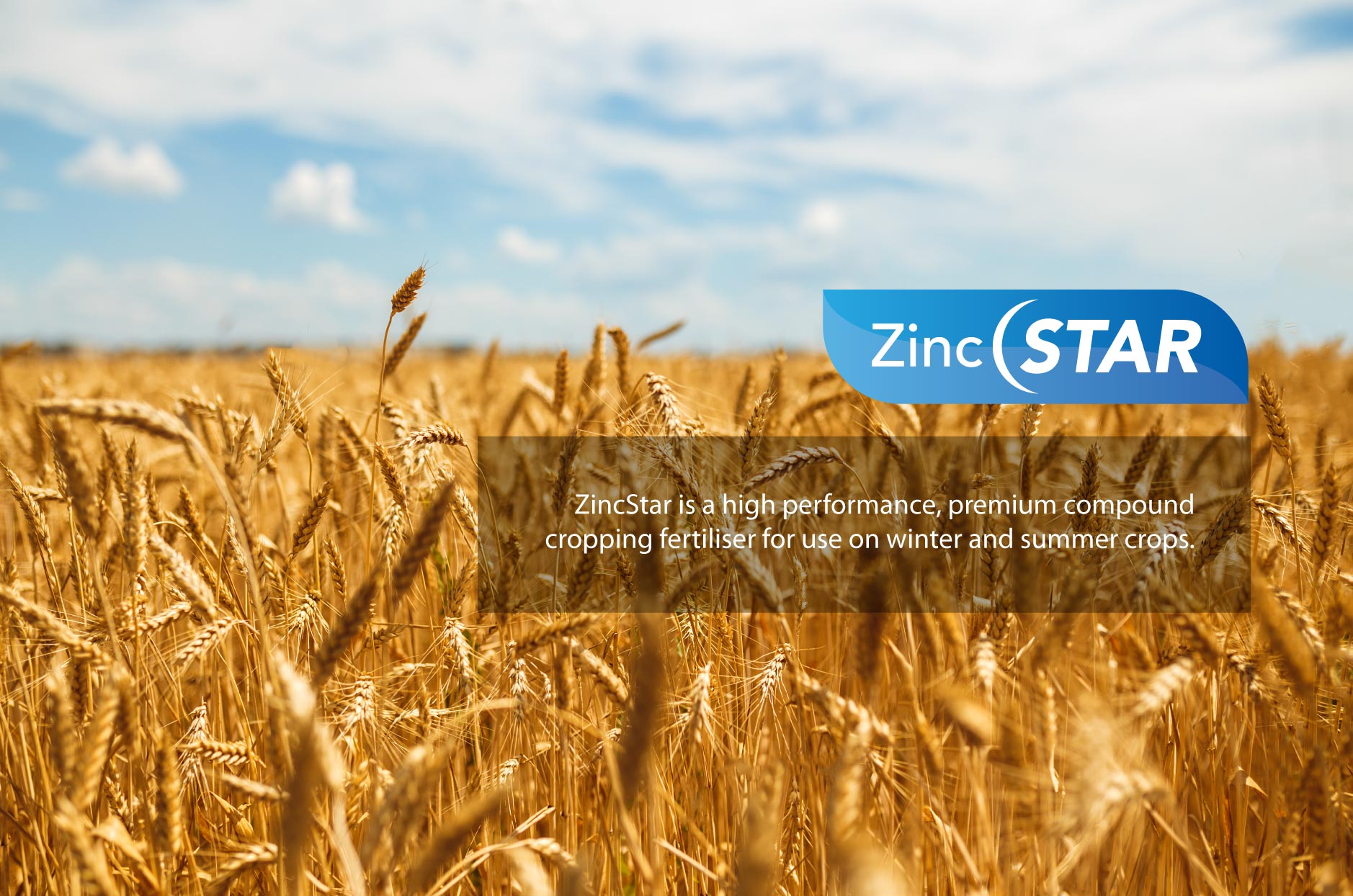 ZINCSTAR