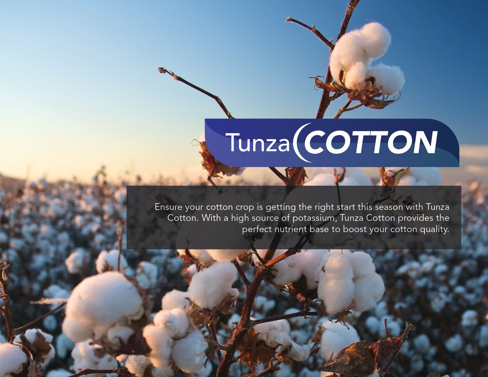 Tunza Cotton Banner